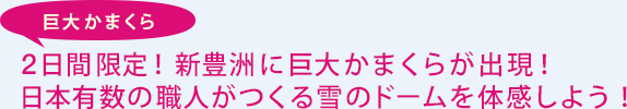 巨大かまくら 2日間限定！新豊洲に巨大かまくらが出現！日本有数の職人がつくる雪のドームを体感しよう！