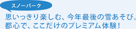 スノーパーク 思いっきり楽しむ、今年最後の雪あそび。都心で、ここだけのプレミアム体験！