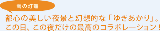 雪の灯篭 都心の美しい夜景と幻想的な「ゆきあかり」。この日、この夜だけの最高のコラボレーション！