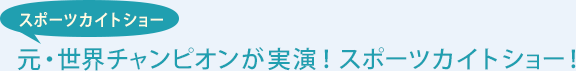 スポーツカイトショー 元・世界チャンピオンが実演！スポーツカイトショー！